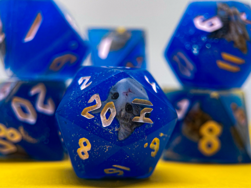 Set de dados Gatinhos