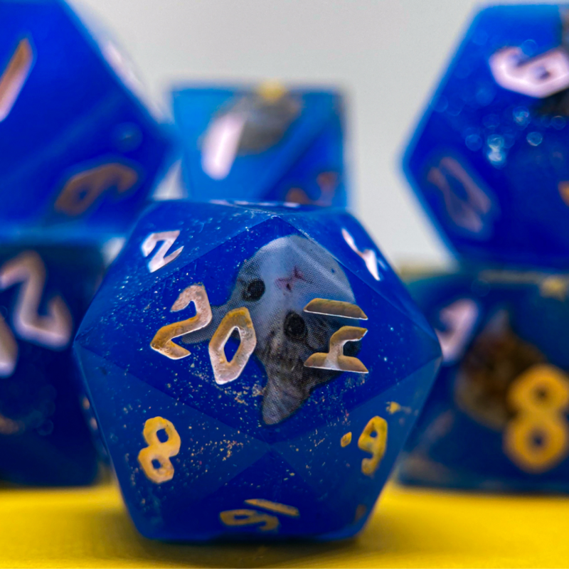 Set de dados Gatinhos