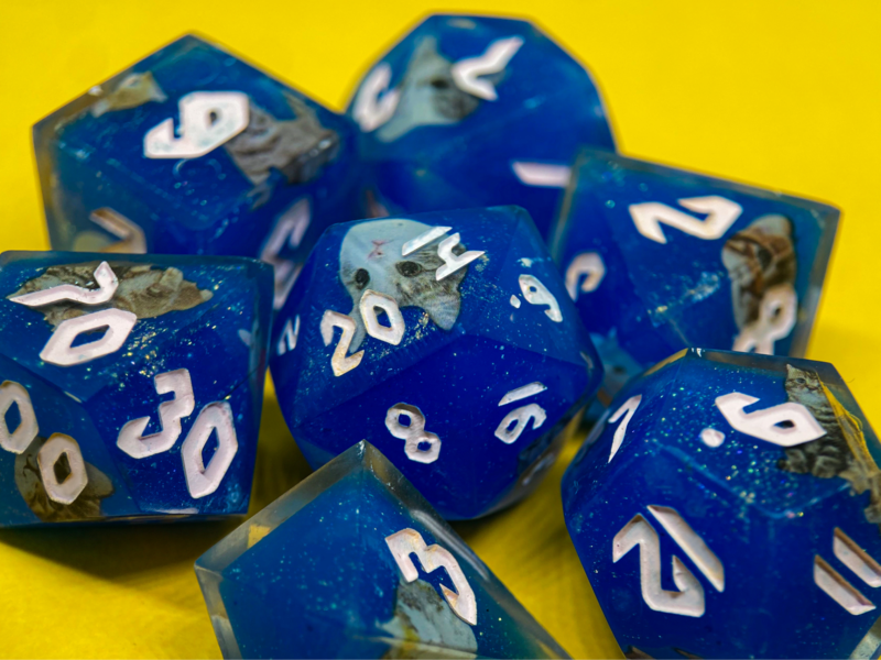 Set de dados Gatinhos - Imagem 2